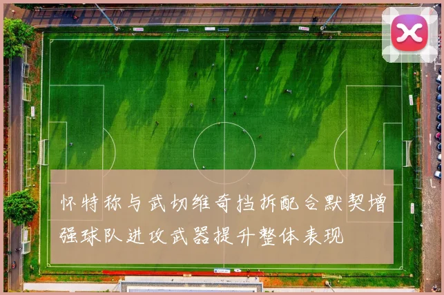 怀特称与武切维奇挡拆配合默契增强球队进攻武器提升整体表现